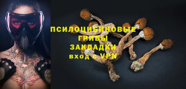 шишки Мегион