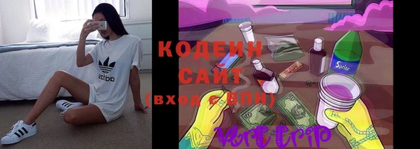 шишки Мегион