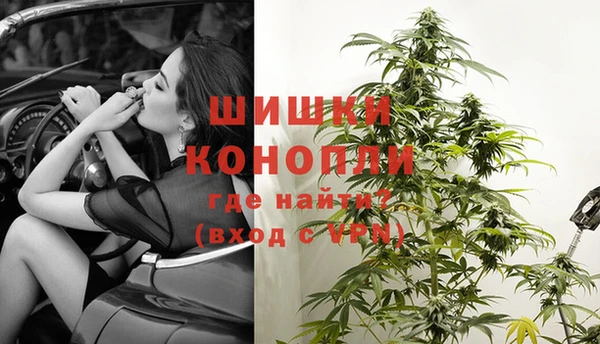 шишки Мегион