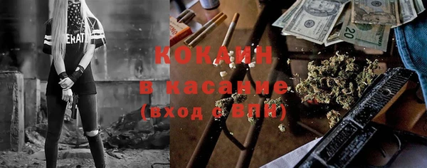 шишки Мегион
