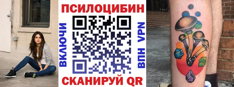 купить наркотики цена Неман Псилоцибиновые грибы мицелий